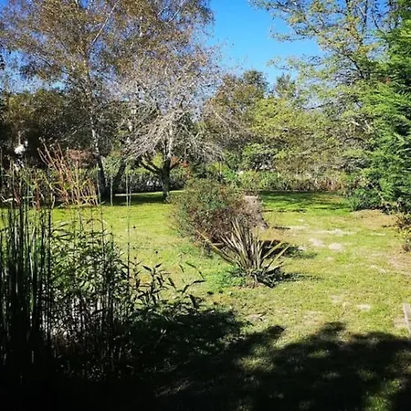 Charmante Maison Avec Parc Arbore & Piscine Au Sel Feriehus *
